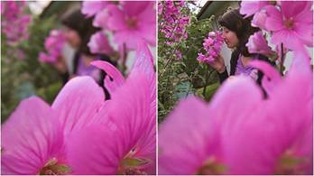 2012֙Cյ“˼”