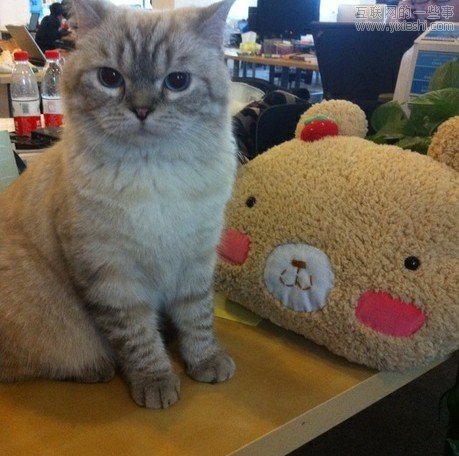 ���굽����ʲô����ʲôӯ����