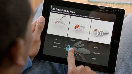 iPad Miniӕ ciBooks 3.0һͬǈ