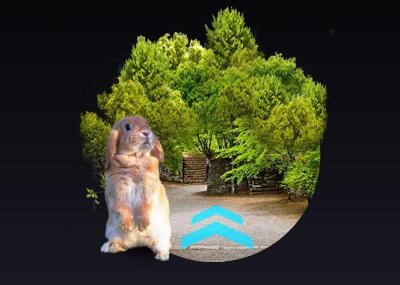 \