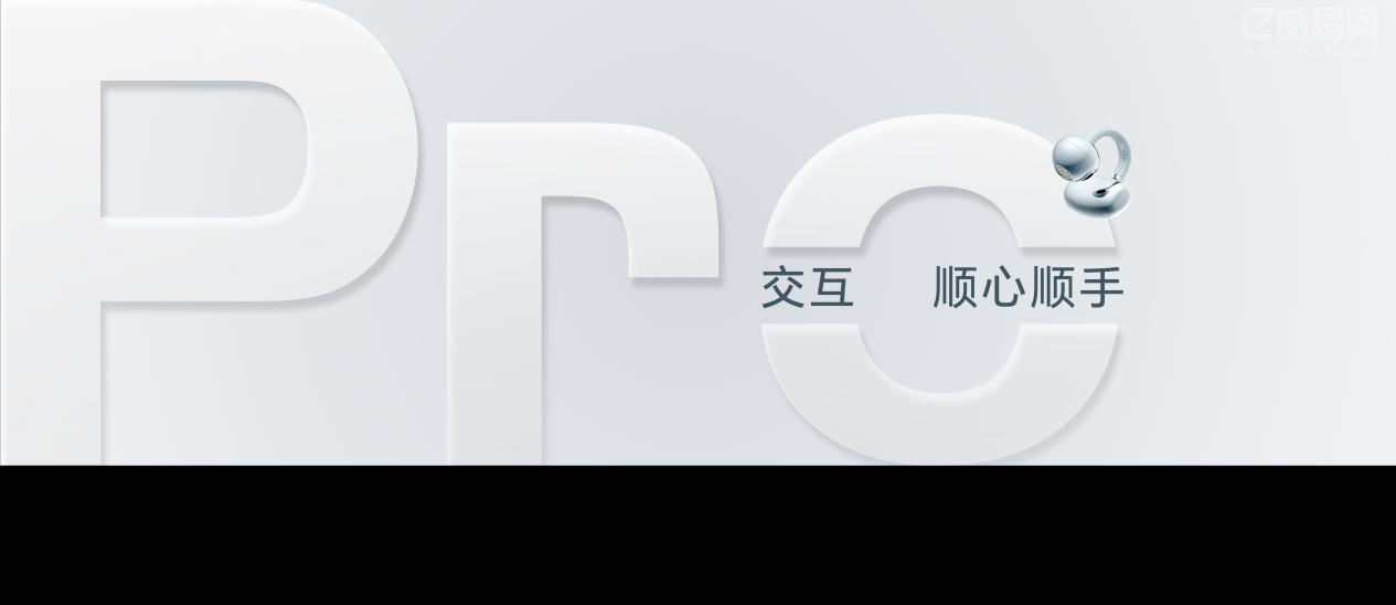 11���A���C 2 Pro����