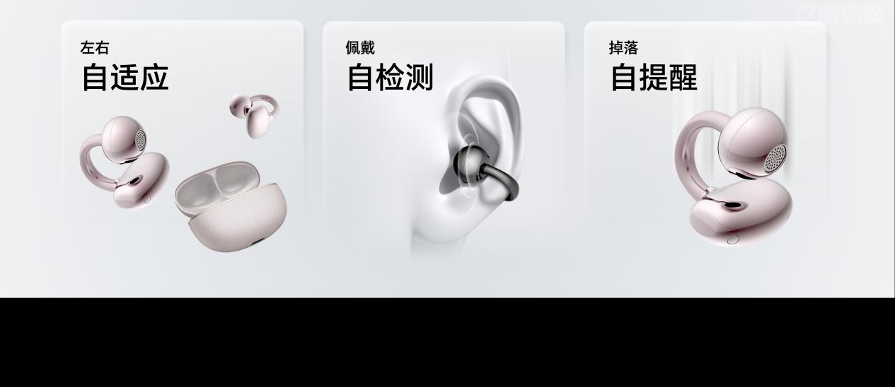 12���A���C 2 Pro����